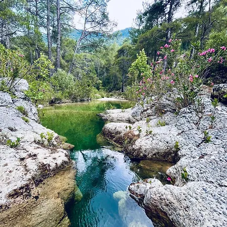 Alojamento de Turismo Rural Tas Ev